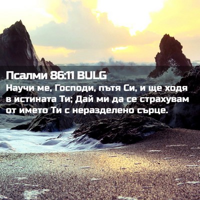 Picture 02 - Псалми 86:11 BULG - Научи ме, Господи, пътя Си, - Bible Verse Picture