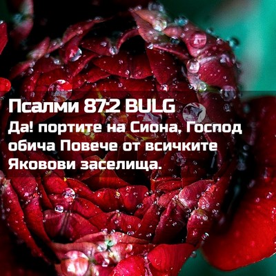 Picture 02 - Псалми 87:2 BULG - Да! портите на Сиона, - Bible Verse Picture