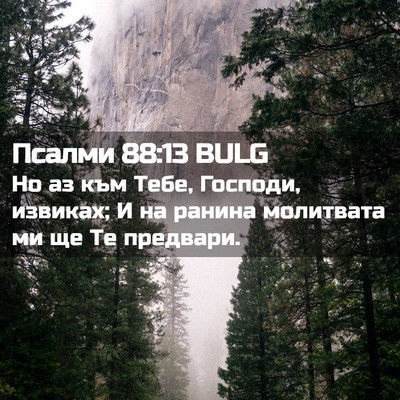 Picture 02 - Псалми 88:13 BULG - Но аз към Тебе, Господи, - Bible Verse Picture