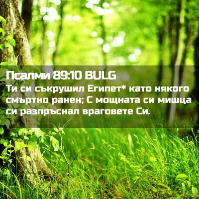 Picture 02 - Псалми 89:10 BULG - Ти си съкрушил Египет* като - Bible Verse Picture