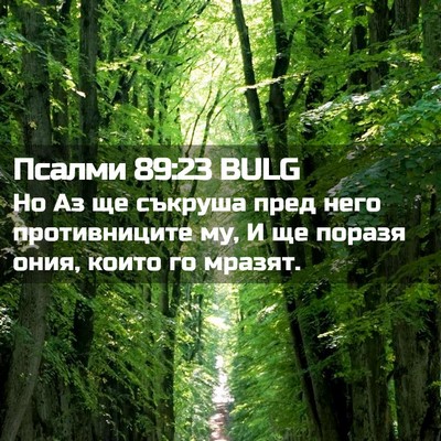 Picture 02 - Псалми 89:23 BULG - Но Аз ще съкруша пред него - Bible Verse Picture