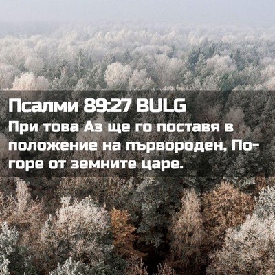 Picture 02 - Псалми 89:27 BULG - При това Аз ще го поставя в - Bible Verse Picture