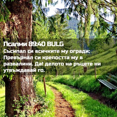 Picture 02 - Псалми 89:40 BULG - Съсипал си всичките му - Bible Verse Picture