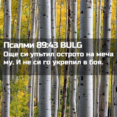 Picture 02 - Псалми 89:43 BULG - Още си упътил острото на - Bible Verse Picture