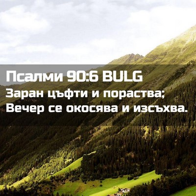 Picture 02 - Псалми 90:6 BULG - Заран цъфти и пораства; - Bible Verse Picture
