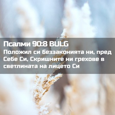 Picture 02 - Псалми 90:8 BULG - Положил си беззаконията - Bible Verse Picture