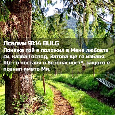 Picture 02 - Псалми 91:14 BULG - Понеже той е положил в Мене - Bible Verse Picture