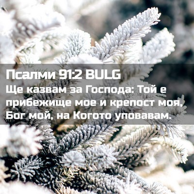 Picture 02 - Псалми 91:2 BULG - Ще казвам за Господа: Той е - Bible Verse Picture