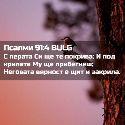 Picture 02 - Псалми 91:4 BULG - С перата Си ще те покрива; И - Bible Verse Picture