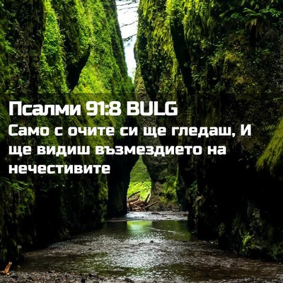 Picture 02 - Псалми 91:8 BULG - Само с очите си ще гледаш, И - Bible Verse Picture