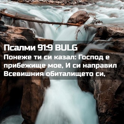 Picture 02 - Псалми 91:9 BULG - Понеже ти си казал: Господ - Bible Verse Picture