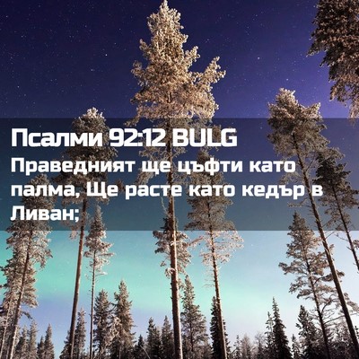 Picture 02 - Псалми 92:12 BULG - Праведният ще цъфти като - Bible Verse Picture