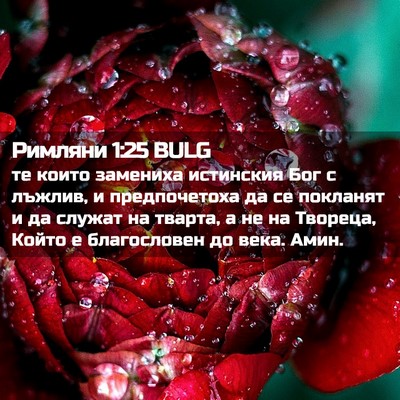 Picture 02 - Римляни 1:25 BULG - те които замениха - Bible Verse Picture