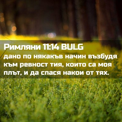 Picture 02 - Римляни 11:14 BULG - дано по някакъв начин - Bible Verse Picture