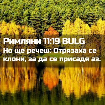 Picture 02 - Римляни 11:19 BULG - Но ще речеш: Отрязаха се - Bible Verse Picture