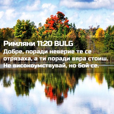 Picture 02 - Римляни 11:20 BULG - Добре, поради неверие те се - Bible Verse Picture