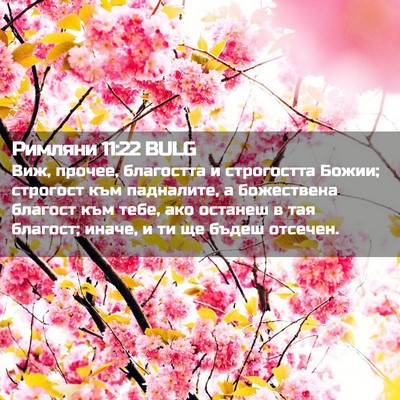 Picture 02 - Римляни 11:22 BULG - Виж, прочее, благостта и - Bible Verse Picture