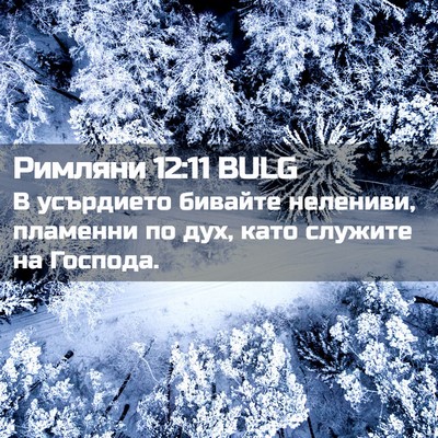 Picture 02 - Римляни 12:11 BULG - В усърдието бивайте - Bible Verse Picture