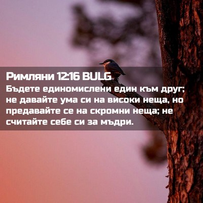 Picture 02 - Римляни 12:16 BULG - Бъдете единомислени един - Bible Verse Picture