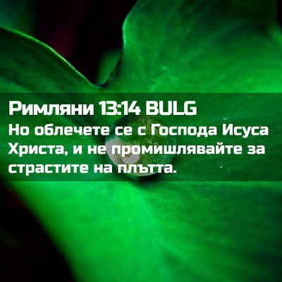 Picture 02 - Римляни 13:14 BULG - Но облечете се с Господа - Bible Verse Picture