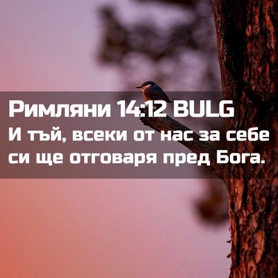 Picture 02 - Римляни 14:12 BULG - И тъй, всеки от нас за себе - Bible Verse Picture