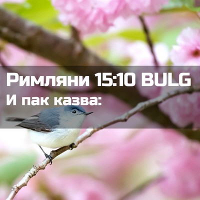 Picture 02 - Римляни 15:10 BULG - И пак - Bible Verse Picture