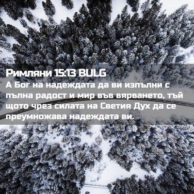 Picture 02 - Римляни 15:13 BULG - А Бог на надеждата да ви - Bible Verse Picture