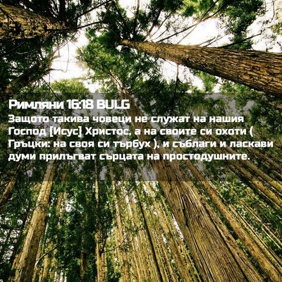 Picture 02 - Римляни 16:18 BULG - Защото такива човеци не - Bible Verse Picture