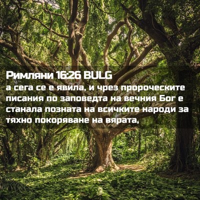 Picture 02 - Римляни 16:26 BULG - а сега се е явила, и чрез - Bible Verse Picture