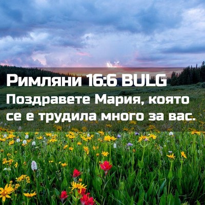 Picture 02 - Римляни 16:6 BULG - Поздравете Мария, която се - Bible Verse Picture