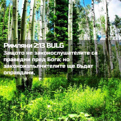 Picture 02 - Римляни 2:13 BULG - Защото не - Bible Verse Picture