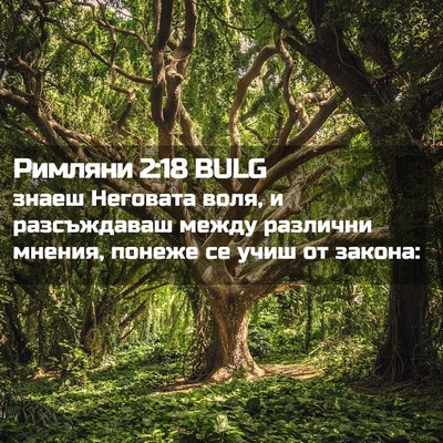Picture 02 - Римляни 2:18 BULG - знаеш Неговата воля, и - Bible Verse Picture