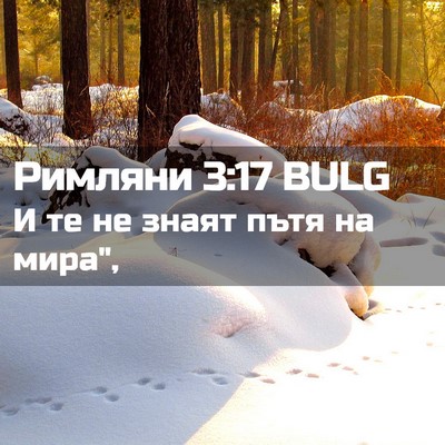Picture 02 - Римляни 3:17 BULG - И те не знаят пътя на - Bible Verse Picture