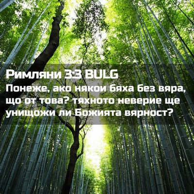 Picture 02 - Римляни 3:3 BULG - Понеже, ако някои бяха без - Bible Verse Picture