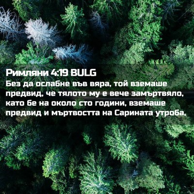 Picture 02 - Римляни 4:19 BULG - Без да ослабне във вяра, - Bible Verse Picture