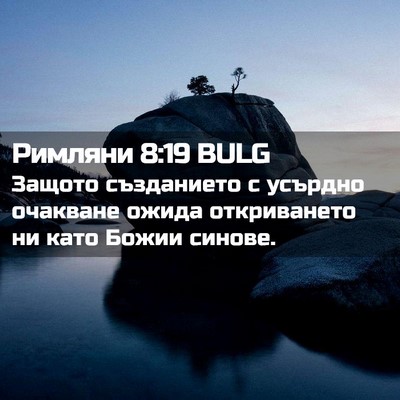 Picture 02 - Римляни 8:19 BULG - Защото създанието с - Bible Verse Picture