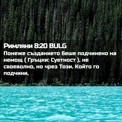 Picture 02 - Римляни 8:20 BULG - Понеже създанието беше - Bible Verse Picture