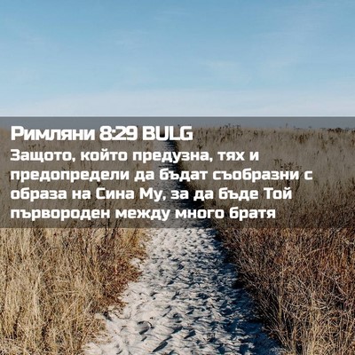 Picture 02 - Римляни 8:29 BULG - Защото, който предузна, тях - Bible Verse Picture