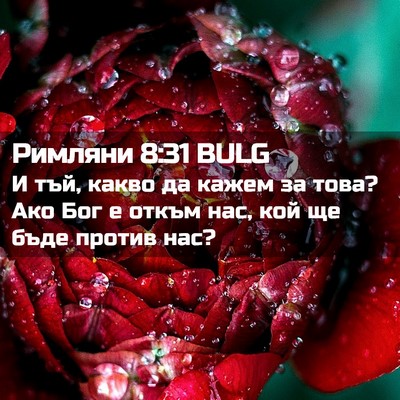 Picture 02 - Римляни 8:31 BULG - И тъй, какво да кажем за - Bible Verse Picture