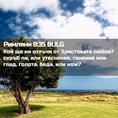 Picture 02 - Римляни 8:35 BULG - Кой ще ни отлъчи от - Bible Verse Picture