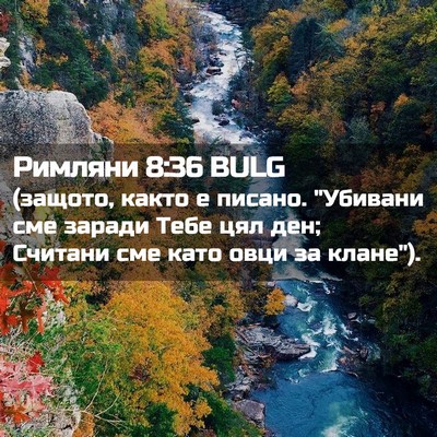 Picture 02 - Римляни 8:36 BULG - (защото, както е писано. - Bible Verse Picture