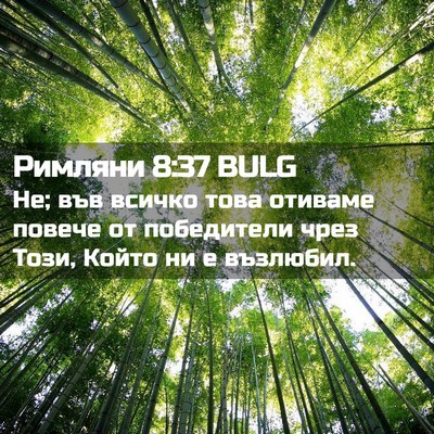 Picture 02 - Римляни 8:37 BULG - Не; във всичко това отиваме - Bible Verse Picture