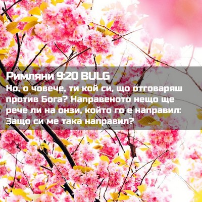 Picture 02 - Римляни 9:20 BULG - Но, о човече, ти кой си, що - Bible Verse Picture