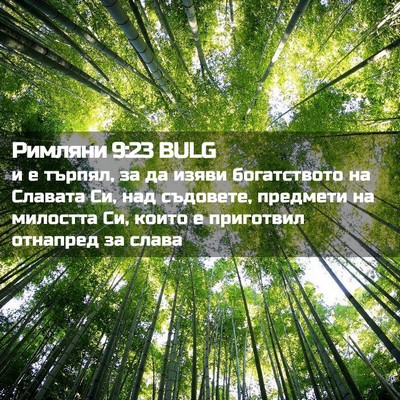 Picture 02 - Римляни 9:23 BULG - и е търпял, за да изяви - Bible Verse Picture