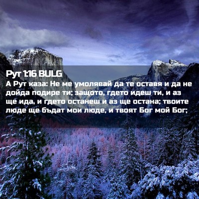 Picture 02 - Рут 1:16 BULG - А Рут каза: Не ме умолявай - Bible Verse Picture