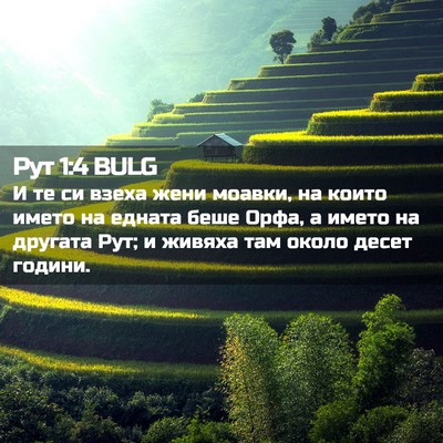 Picture 02 - Рут 1:4 BULG - И те си взеха жени моавки, - Bible Verse Picture