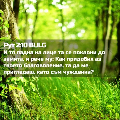 Picture 02 - Рут 2:10 BULG - И тя падна на лице та се - Bible Verse Picture