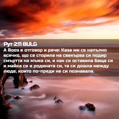 Picture 02 - Рут 2:11 BULG - А Вооз в отговор и рече: - Bible Verse Picture