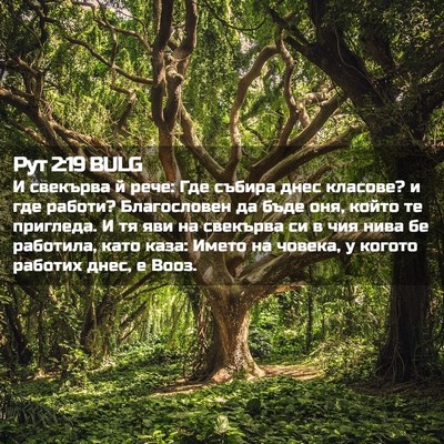 Picture 02 - Рут 2:19 BULG - И свекърва й рече: Где - Bible Verse Picture