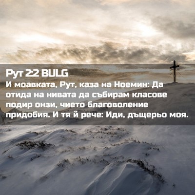 Picture 02 - Рут 2:2 BULG - И моавката, Рут, каза на - Bible Verse Picture